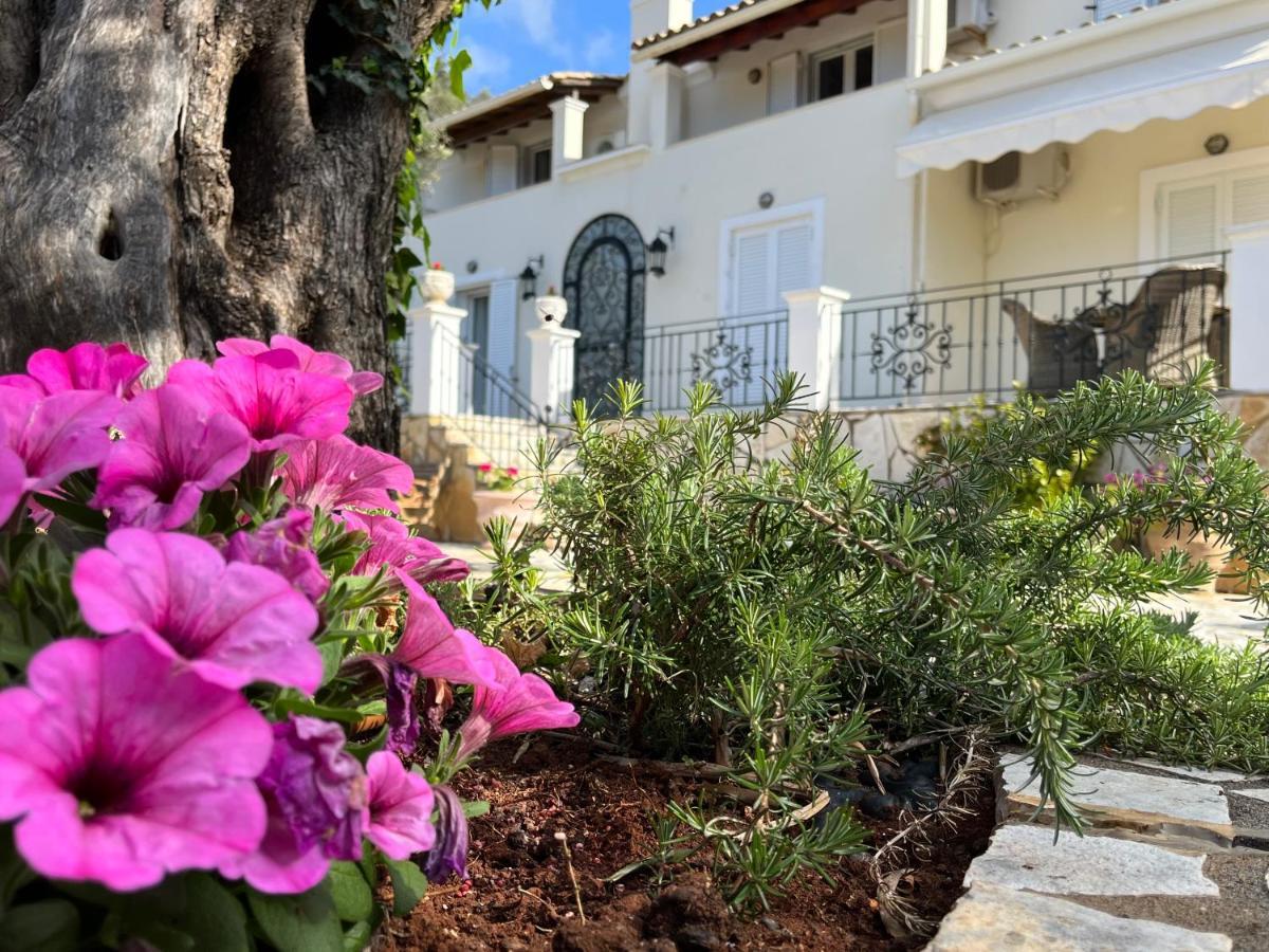 Villa Ampelaki 2 Paleokasztríca Kültér fotó